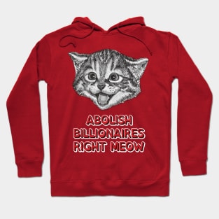 Abolish Billionaires Right Meow Hoodie